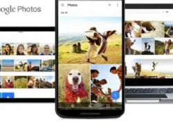 Gampang, Begini Cara Backup Foto di Google Photos Pakai Google Takeout