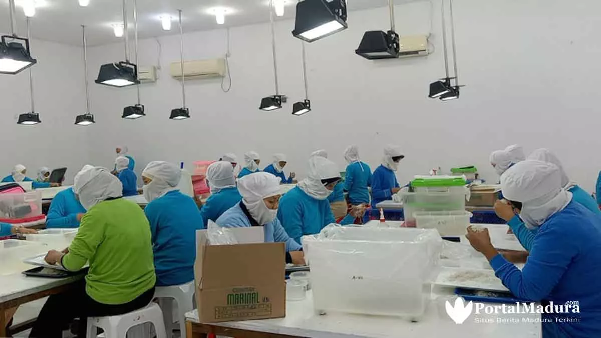 Hasil Tangkapan Ikan Teri Sumenep Tak Cukupi Kebutuhan Ekspor