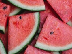 Kandungan Nutrisi dan Manfaat Buah Semangka bagi Tubuh Manusia