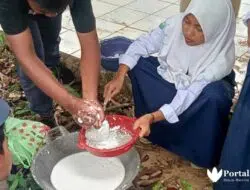 Kelapa Melimpah, Siswa SMPN 2 Pasongsongan Olah Jadi Minyak Goreng