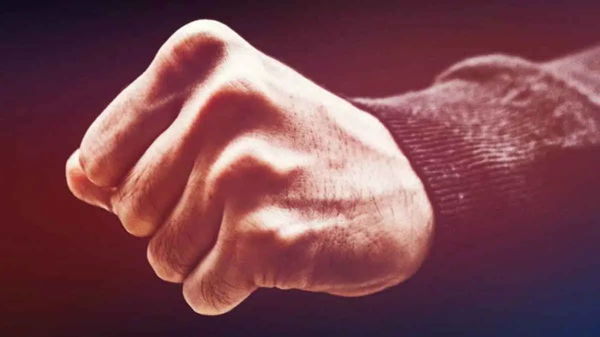 Oknum Legislator Diduga Aniaya Aktivis Formabes