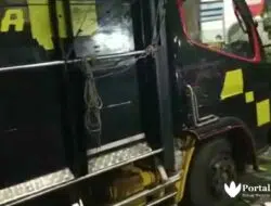 Pengemudi Diduga Ngantuk, Truk Fuso Hantam Pohon Mahoni