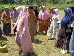 Perubahan Ekosistem Alam di Sumenep Jadi Penyebab Hama Tikus Merajalela