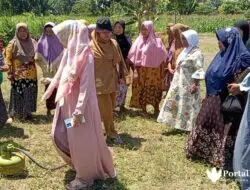 Perubahan Ekosistem Alam di Sumenep Jadi Penyebab Hama Tikus Merajalela