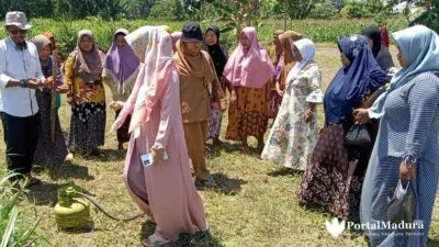 Perubahan Ekosistem Alam di Sumenep Jadi Penyebab Hama Tikus Merajalela