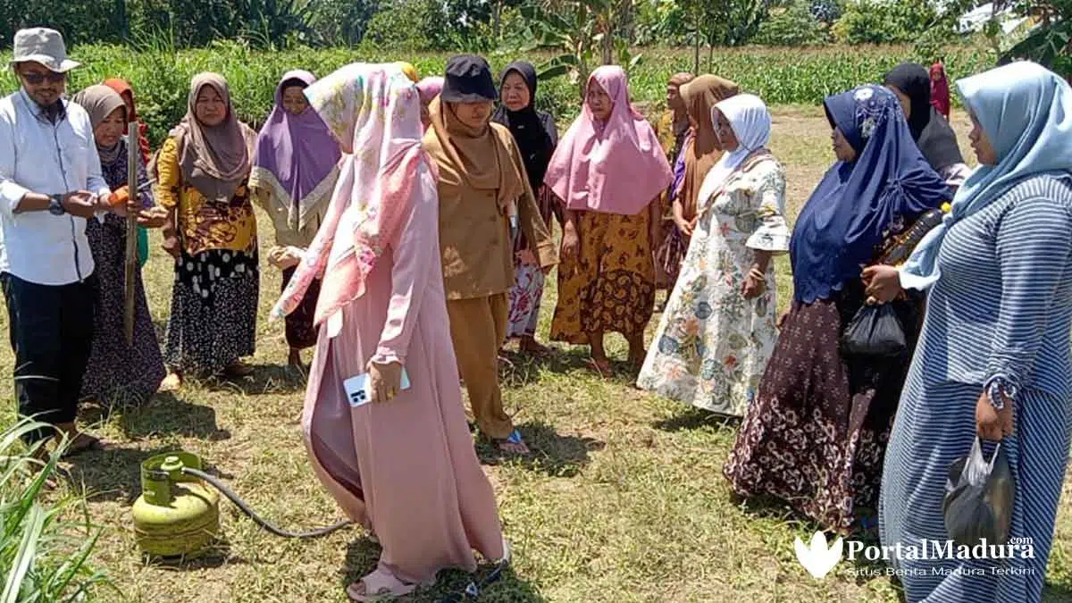 Perubahan Ekosistem Alam di Sumenep Jadi Penyebab Hama Tikus Merajalela
