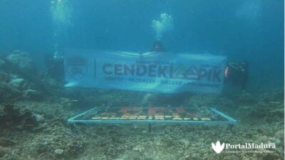 Selamatkan Ekosistem Laut, PPI Dunia Tanam Terumbu Karang