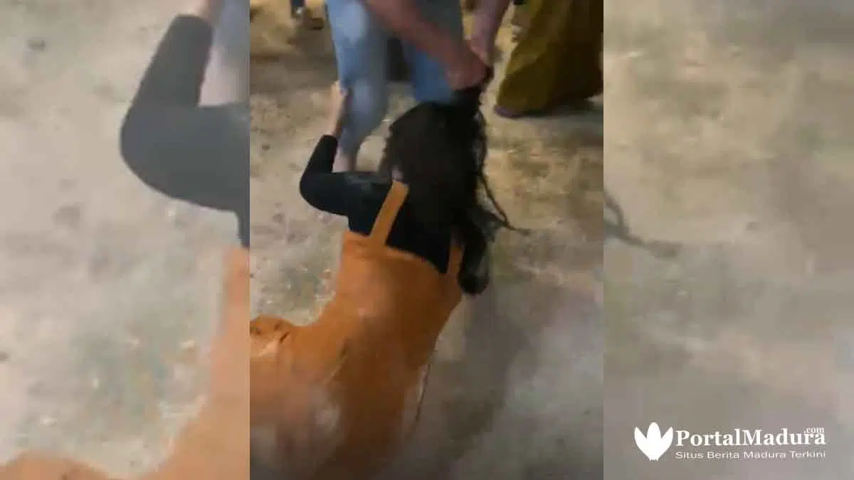 Viral Video Wanita Cantik Dikeroyok di Madura