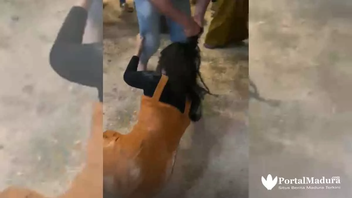 Viral Video Wanita Cantik Dikeroyok di Madura