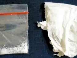 2 Pelaku Ditangkap Polisi, Suplai Sabu dari Sokobanah ke Sumenep