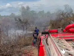 Kebakaran Hutan Kota, Petugas Gabungan Berjibaku Padamkan Api