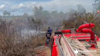Kebakaran Hutan Kota, Petugas Gabungan Berjibaku Padamkan Api