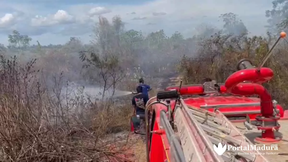 Kebakaran Hutan Kota, Petugas Gabungan Berjibaku Padamkan Api