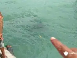Pengemudi Tewas, Pikap Muat Es Balok Tercebur Laut Sumenep