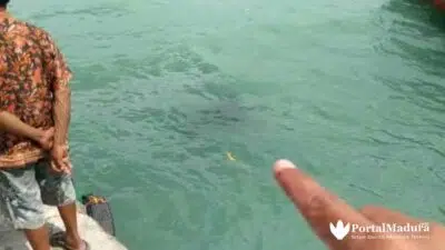 Pengemudi Tewas, Pikap Muat Es Balok Tercebur Laut Sumenep