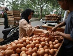 Permintaan Konsumen Tinggi, Harga Telur Ayam di Sampang Naik