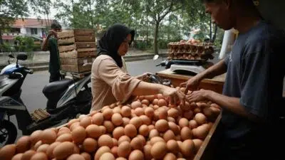 Permintaan Konsumen Tinggi, Harga Telur Ayam di Sampang Naik