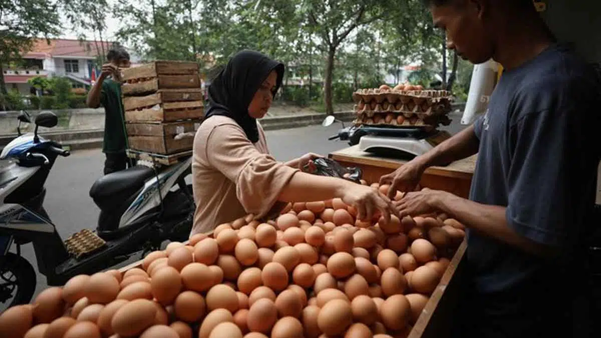 Permintaan Konsumen Tinggi, Harga Telur Ayam di Sampang Naik