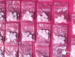Santri Aktif Diduga Suplai Pil Logo Y di Kepulauan Sumenep