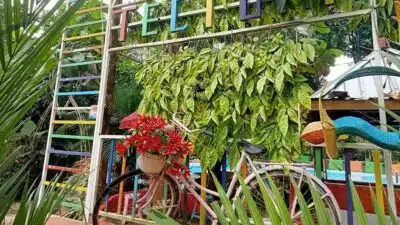 2022, Peminat Wisata Domestik Masih Rendah