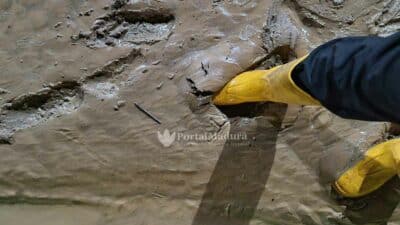 Banjir Surut, BPBD Sumenep Bersihkan Lumpur Asrama Santri PP Al-Amien Prenduan