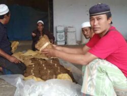 Rentenir Cekik Petani Tembakau Sumenep