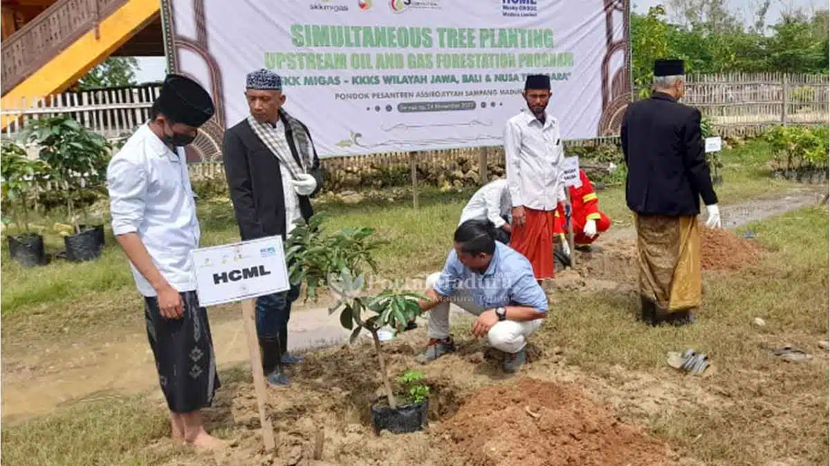 SKK Migas-KKKS Jabanusa Tanam Pohon Produktif di 5 Ponpes