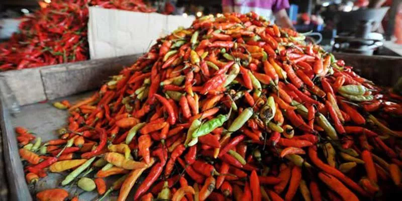 Harga Cabai Kecil di Sumenep Naik Drastis