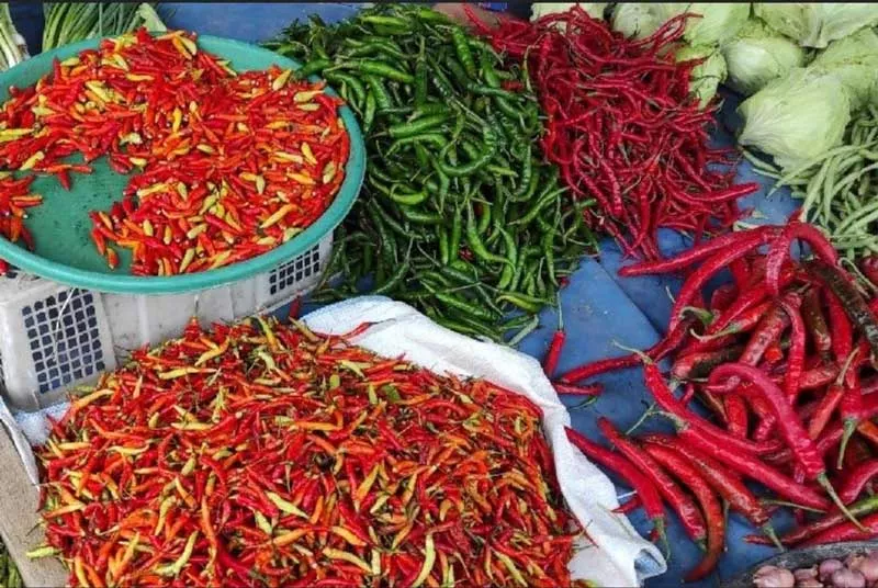 Harga Cabai Kecil di Sumenep Naik Lagi