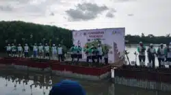 HCML Partisipasi Tanam Mangrove di ICIUOG 2022