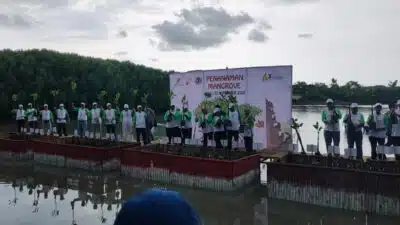HCML Partisipasi Tanam Mangrove di ICIUOG 2022