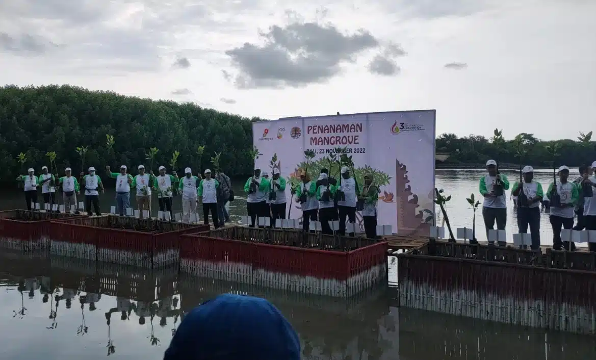HCML Partisipasi Tanam Mangrove di ICIUOG 2022