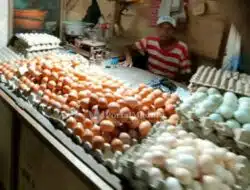Jelang Tutup Tahun, Harga Telur Merangkak Naik