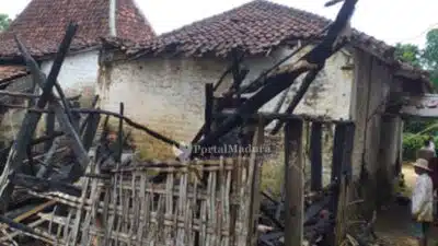 Kandang Terbakar, 1 Ekor Sapi Warga Batuputih Mati Terpanggang