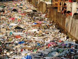 Ternyata Ini Penyebab Lingkungan Rusak