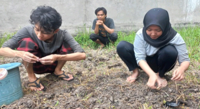 Mahasiswa Ajari Pembibitan Semangka di Kamal Bangkalan