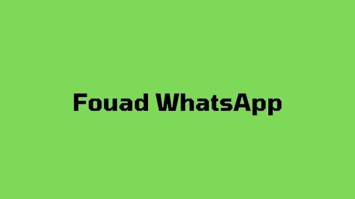 Link Download Fouad WhatsApp Terbaru