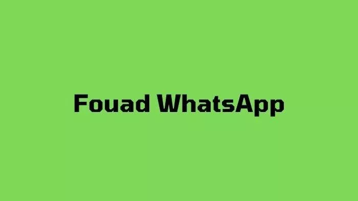 Link Download Fouad WhatsApp Apk v9.52 Terbaru 2023