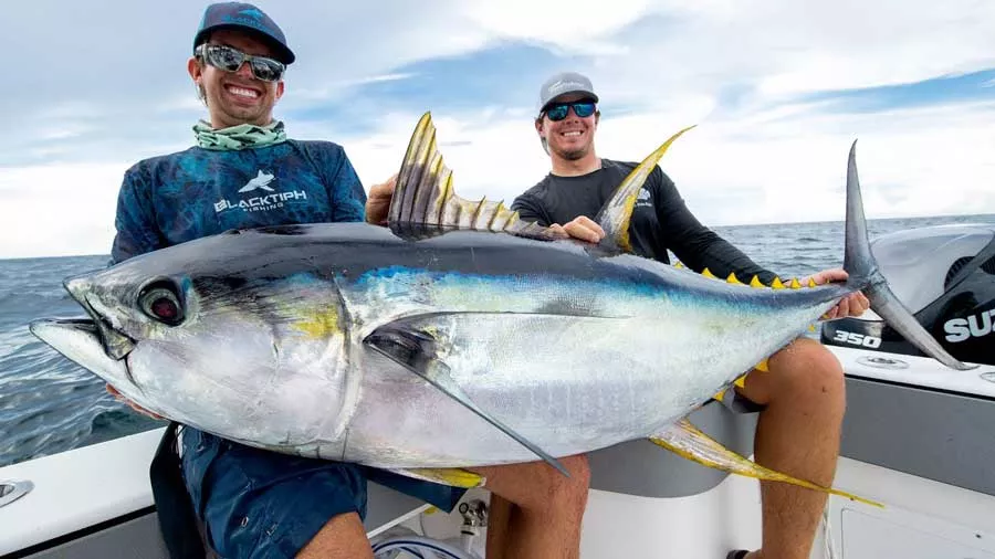 7 Manfaat Ikan Tuna Untuk Kesehatan