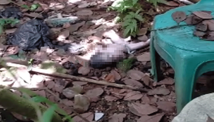 Penemuan Bayi Perempuan di Belakang Puskesmas Batuan Sumenep