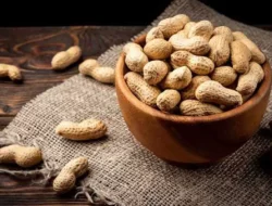 5 Manfaat Kacang Tanah untuk Kesehatan Tubuh