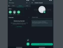 WhatsApp Channels, Fitur Baru yang disiapkan di WhatsApp
