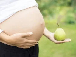 Manfaat Buah Pir Untuk Ibu Hamil, Yang Perlu Anda Ketahui