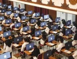 Peluang Emas! Kuota CPNS 2023 Capai 1 Juta, 20% Dibuka Untuk Fresh Graduat