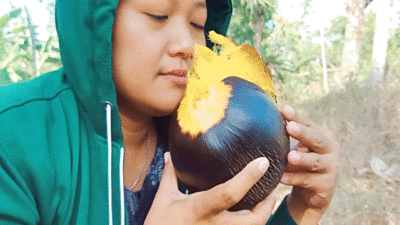 Buah Siwalan Bikin Muka Glowing hingga Obat Disfungsi Ereksi