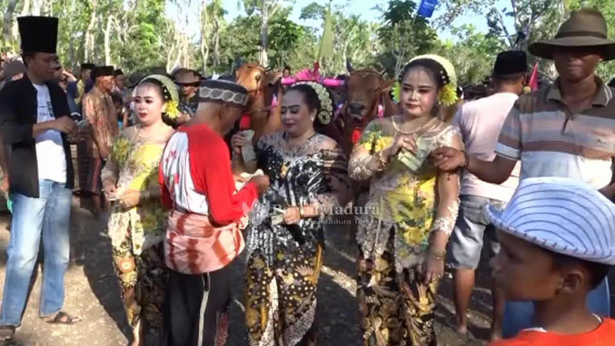 Karapan Sapi, Menjaga Tradisi Dan Ajang Silaturahmi Warga Batuputih - Portalmadura.com Karapan Sapi, Menjaga Tradisi dan Ajang Silaturahmi Warga Batuputih
