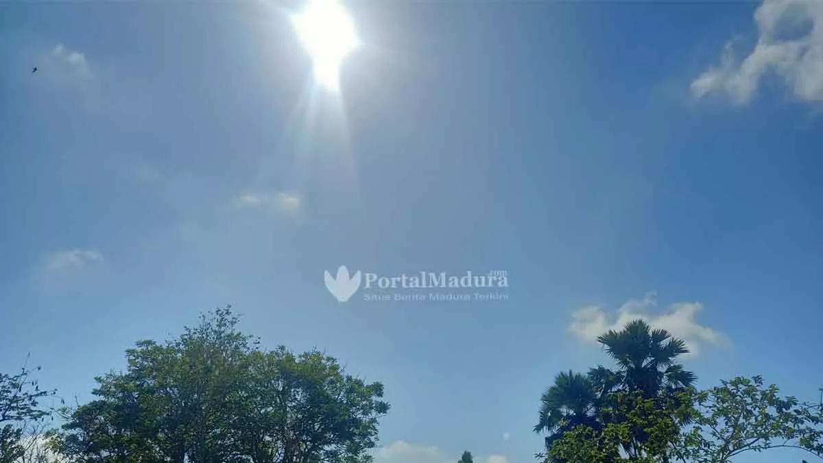 Petani Jagung Mulai Gelisah, BMKG Memprakirakan Hujan Masih Desember