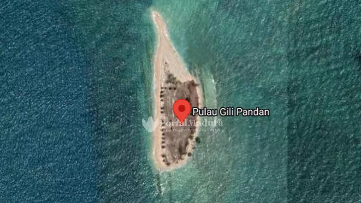 Selamatkan Gili Pandan Sumenep, Fk3I Tanam Pohon Cemara Udang - Portalmadura.com Selamatkan Gili Pandan Sumenep, FK3I Tanam Pohon Cemara Udang