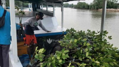 Jelang Festival Mangrove VI, Korlap FK3I Sumenep Bantu Distribusikan 21 Ribu Bibit