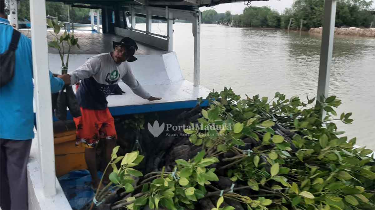 Jelang Festival Mangrove VI, Korlap FK3I Sumenep Bantu Distribusikan 21 Ribu Bibit